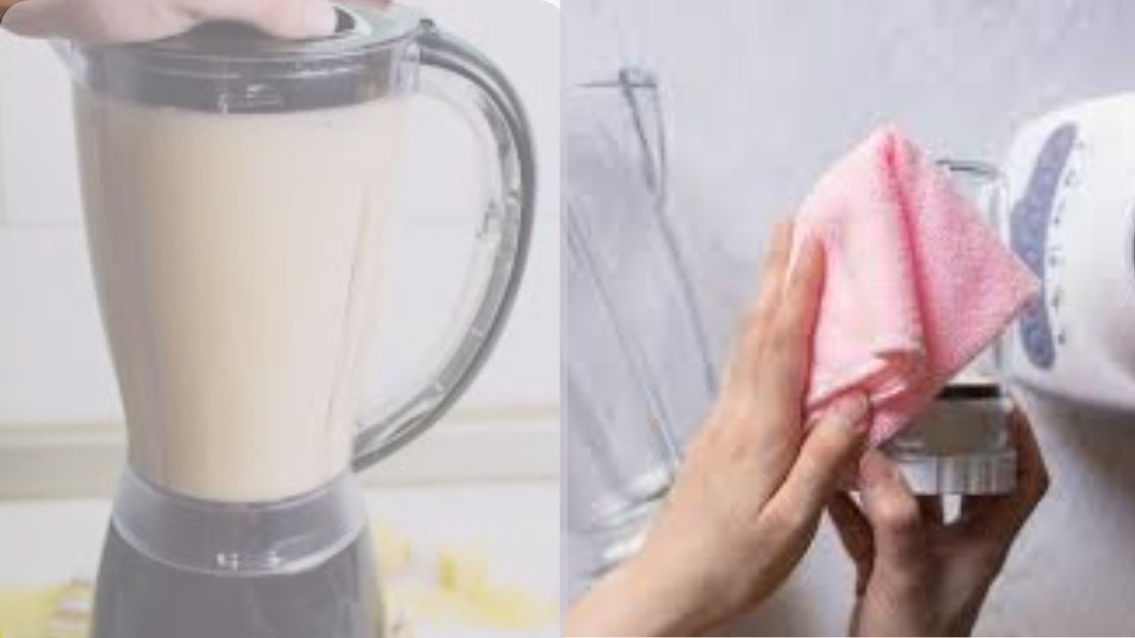 Posso usar o liquidificador com lâmina removível para fazer massas?